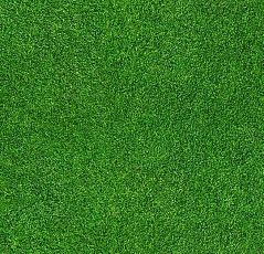 Ковролин Flotex Vision Image 000369 Grass фото 1 | FLOORDEALER